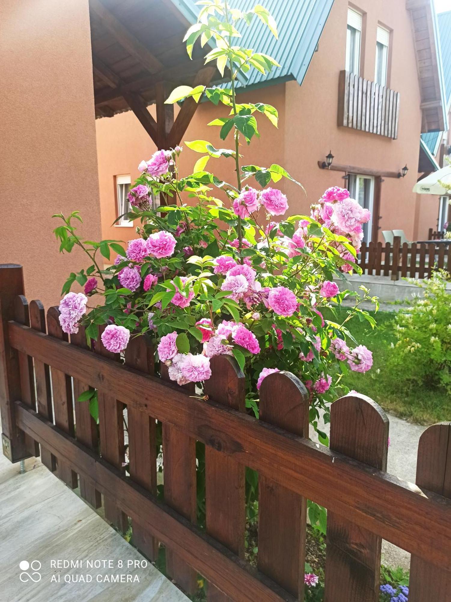 Holiday Home Ivana Kolasin Luaran gambar